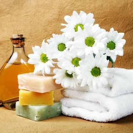 Breithorn Hotell Aosta Valley