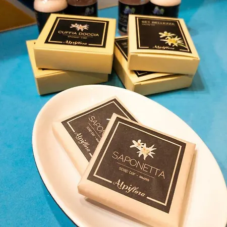 Hotel Breithorn Aosta Valley